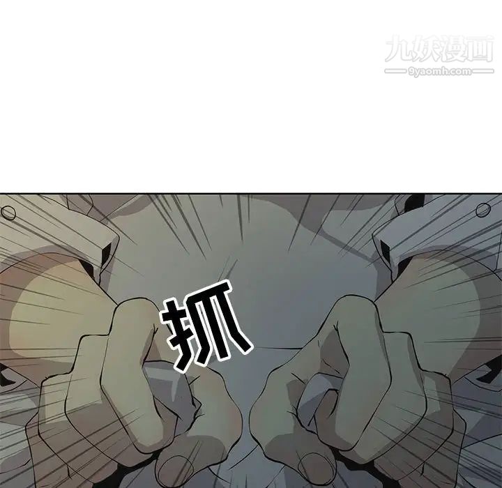 96.jpg