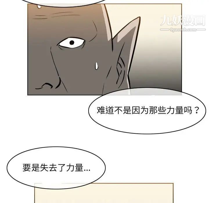 41.jpg