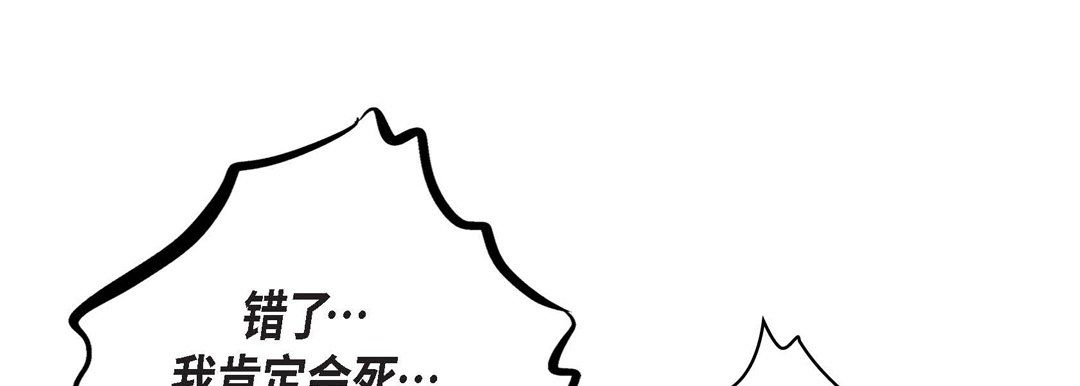 156.jpg