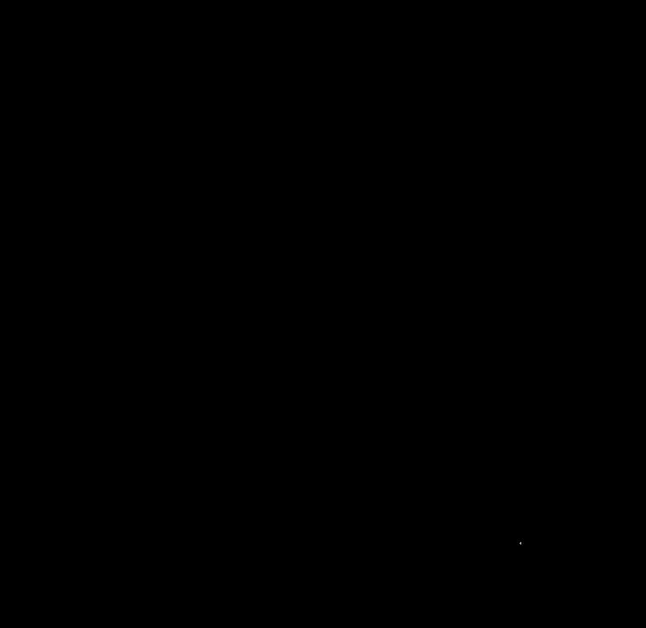 169.jpg
