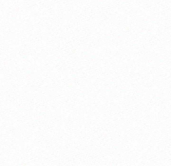 236.jpg