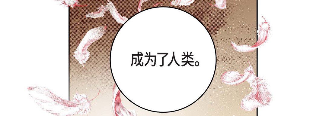 献给心脏第85话