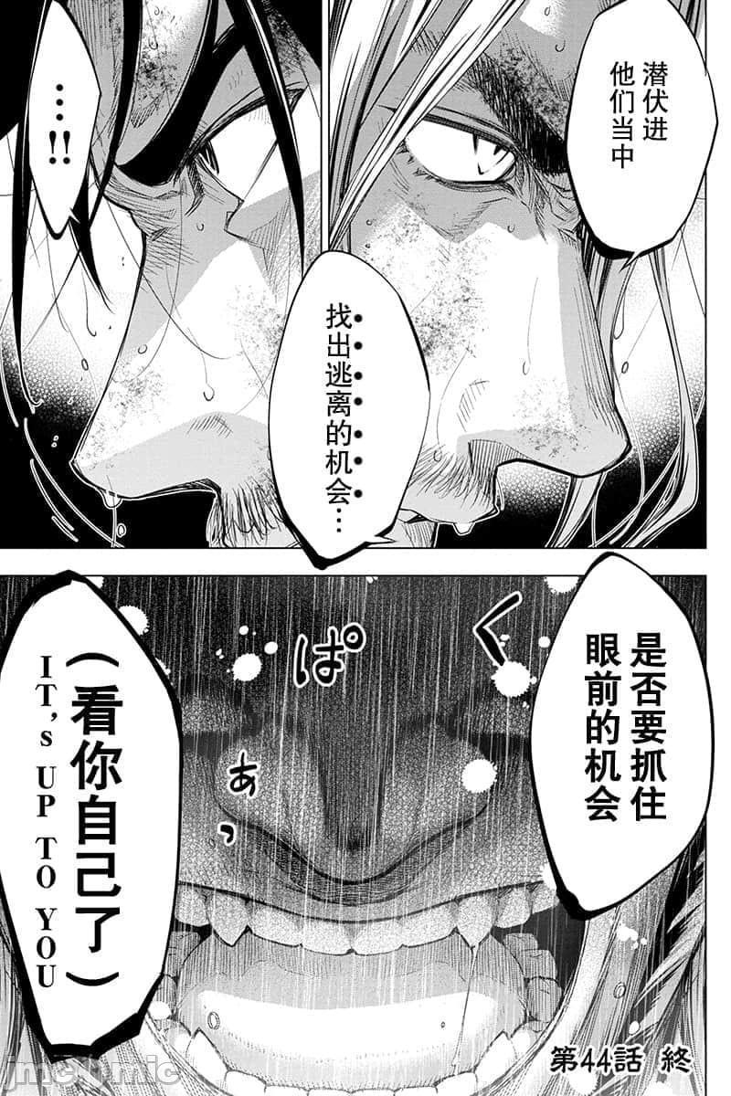 隐语岛/[天鹅之恋汉化组][田中克树天下雌子]インゴシマ第11话41-50