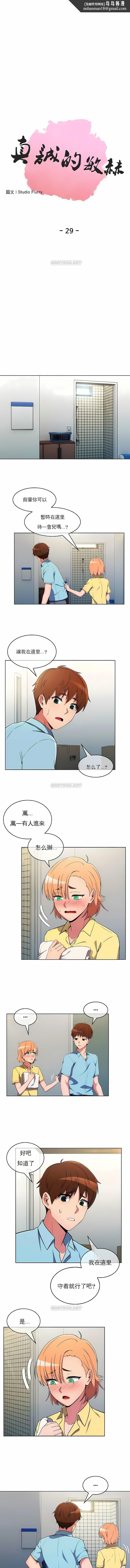 真诚的敏赫第29话