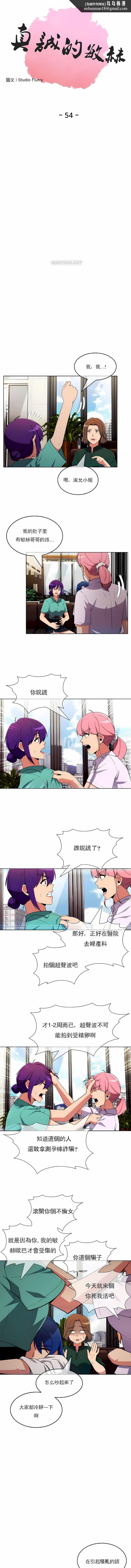 真诚的敏赫第54话