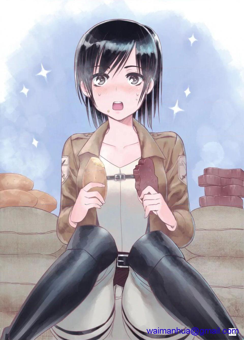 进击的巨人(本子)精选合集第28话28.进击的巨人第二期(C82)