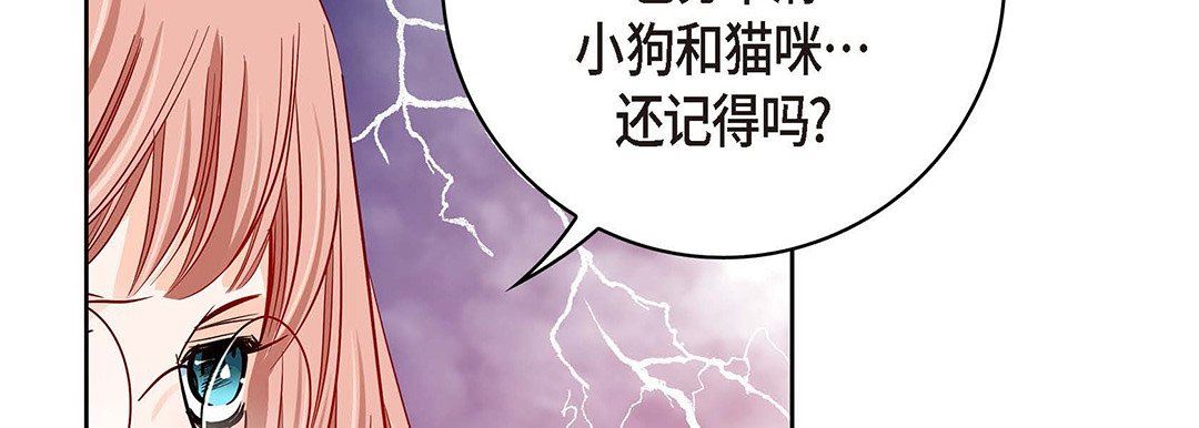 献给心脏第95话