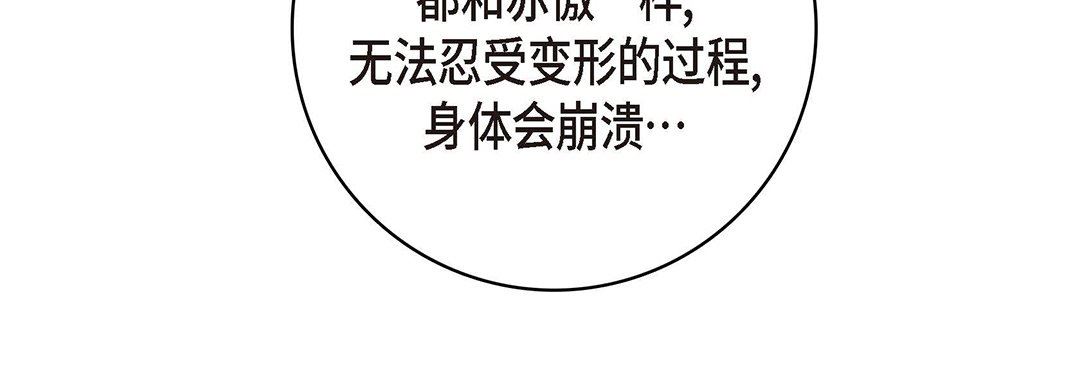 献给心脏第95话