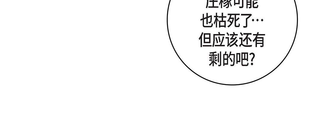 献给心脏第96话