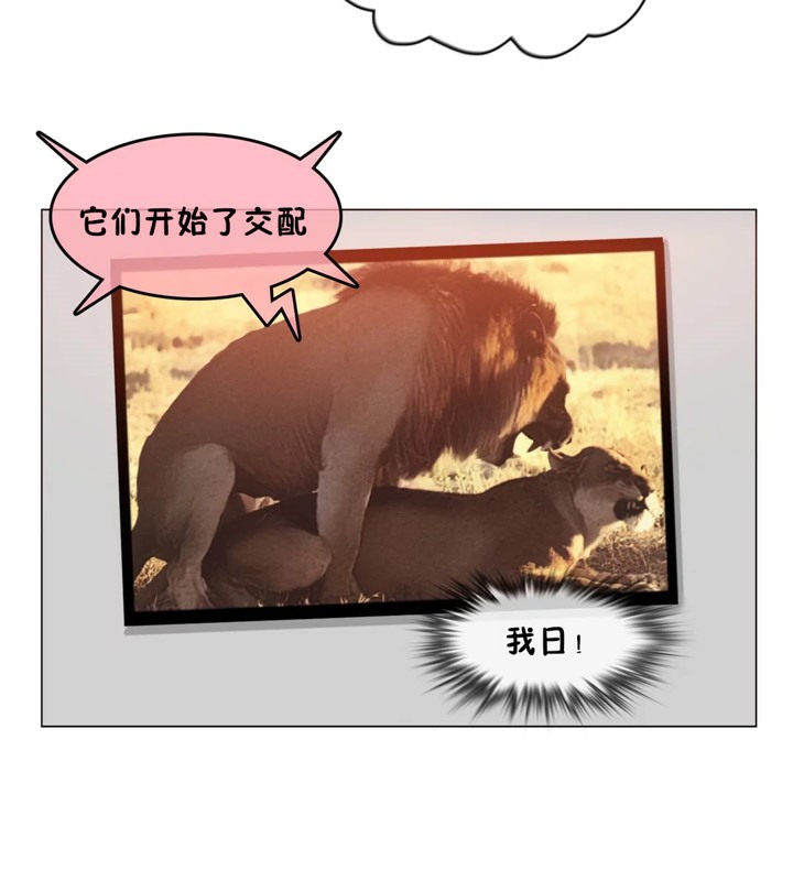一个变态的日常生活第39话