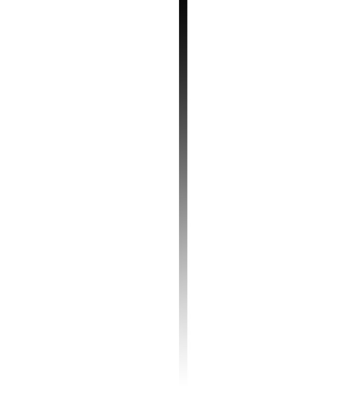238.jpg