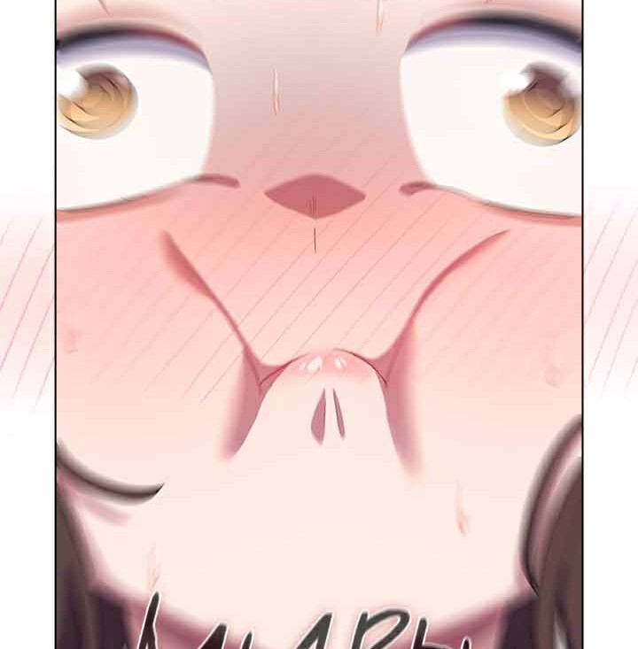 101.jpg