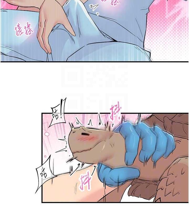 74.jpg