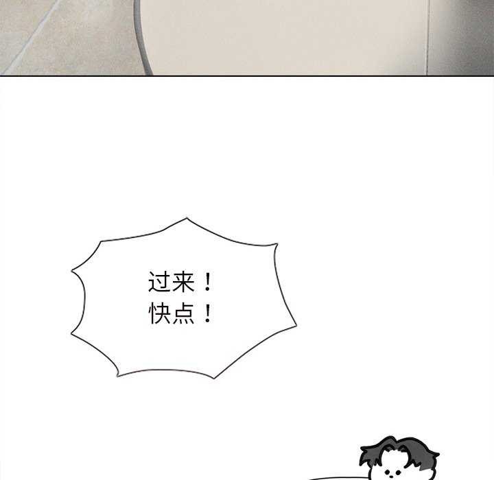 81.jpg