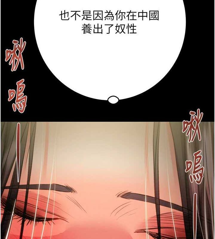 206.jpg