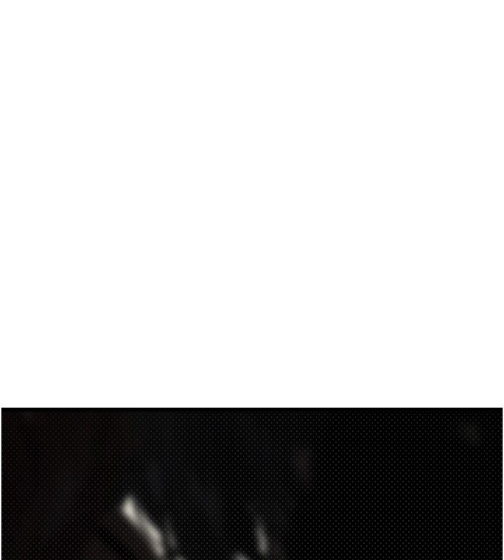 134.jpg