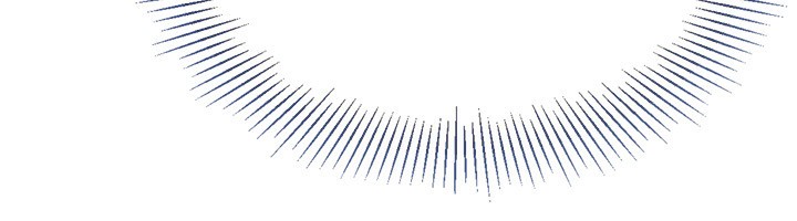 136.jpg
