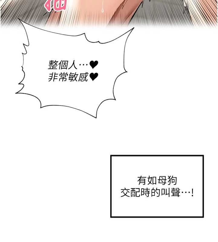 ﳤӿ13Ԓ-