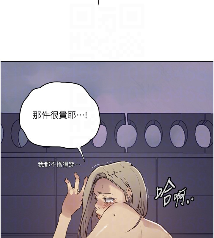 95.jpg
