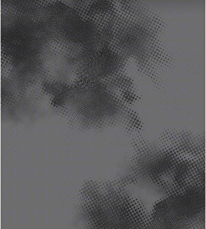 115.jpg
