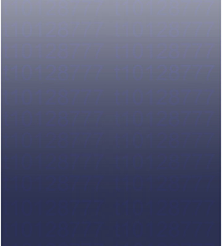 119.jpg