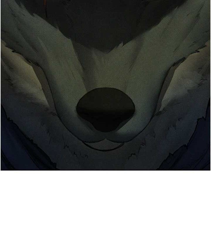 66.jpg