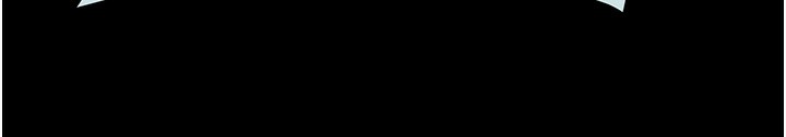161.jpg