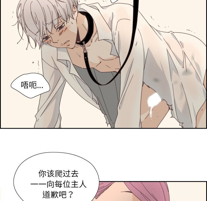 纯洁之罪第21話