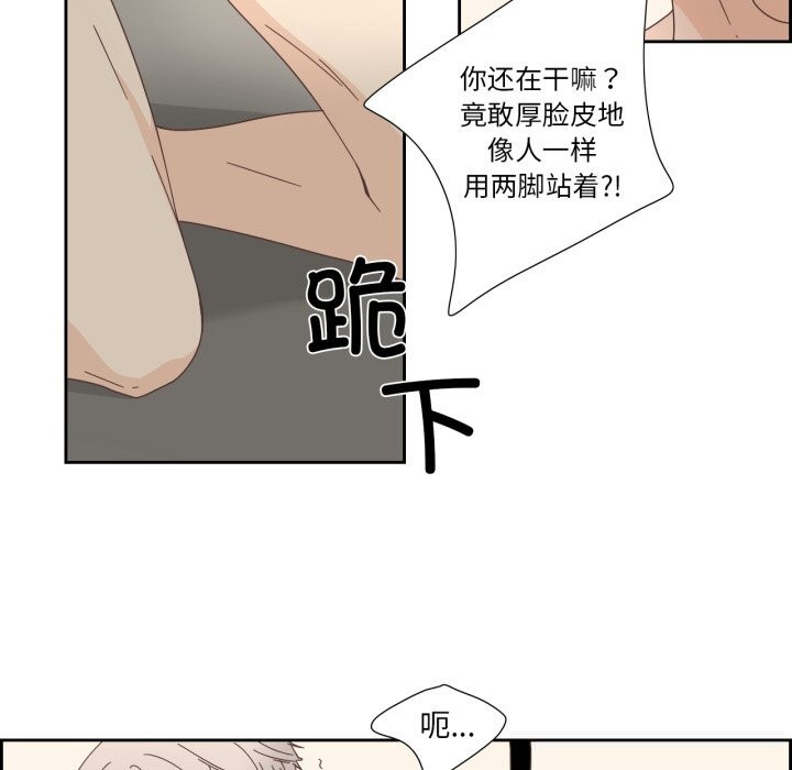 纯洁之罪第21話