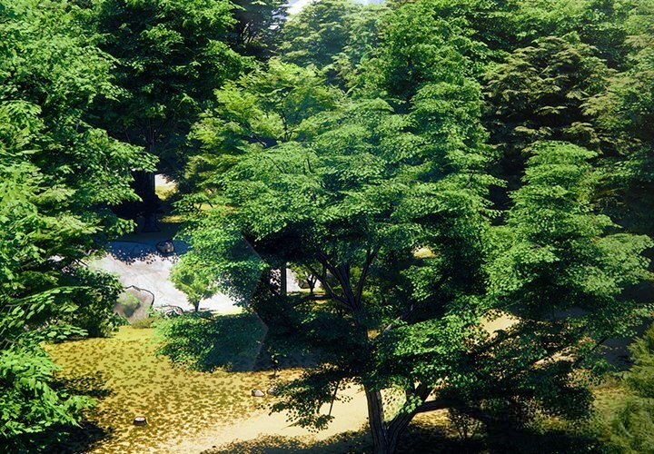 男人稀缺的異世界第1話