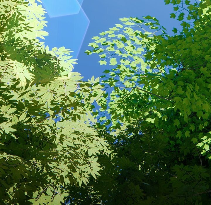 男人稀缺的異世界第1話