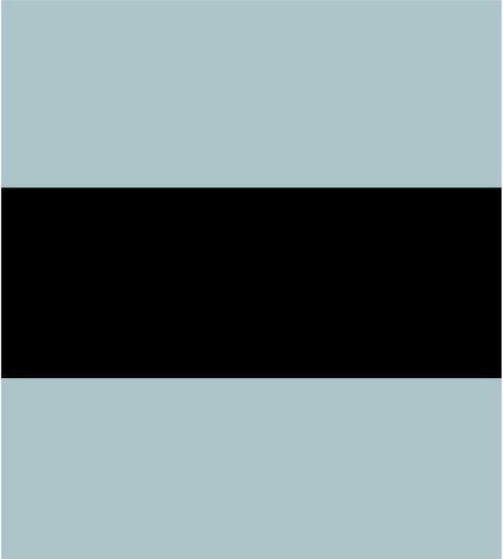 不要戀愛要打砲第11話-室長，其實我…