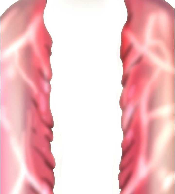 大凤村妇女会第17話-口嫌體正直的淫娃