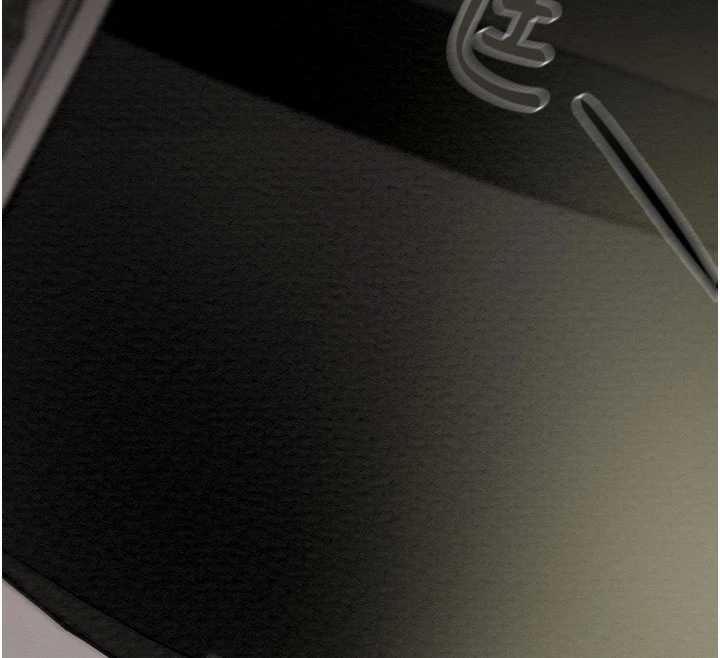 掠夺行动第79話-我是個危險的女人