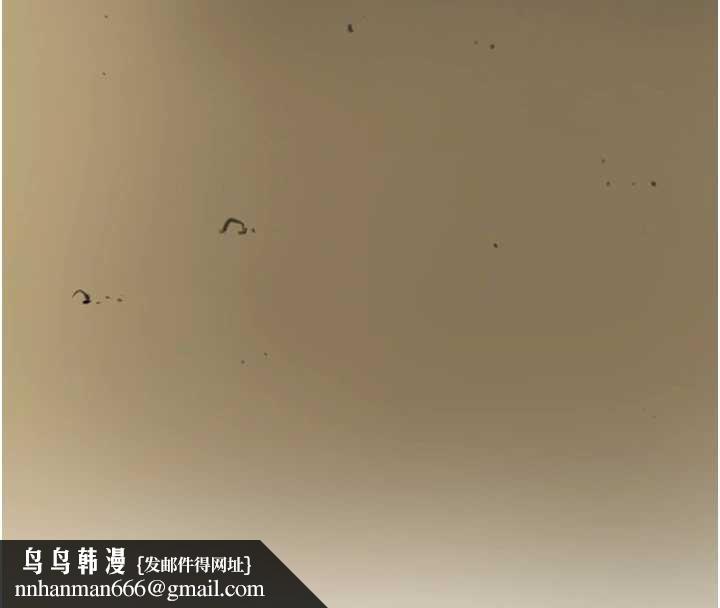 花容湿色:取花点第77話-醉醺醺的大人亂入