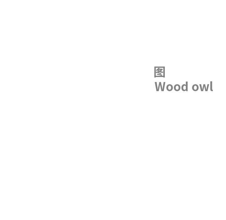 最強男人第49話