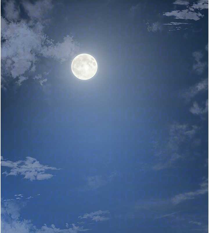 花容濕色:取花點第79話-昨晚你真粗魯&hellip;