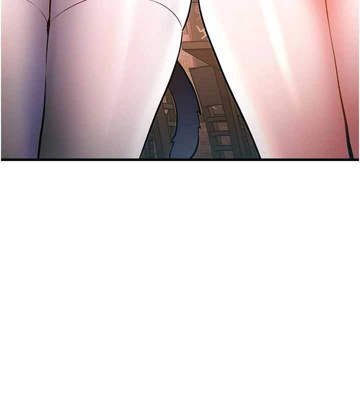 特色新视界第16話-主人是狗派還是貓派?