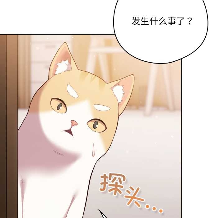 喵来的恋爱第46話