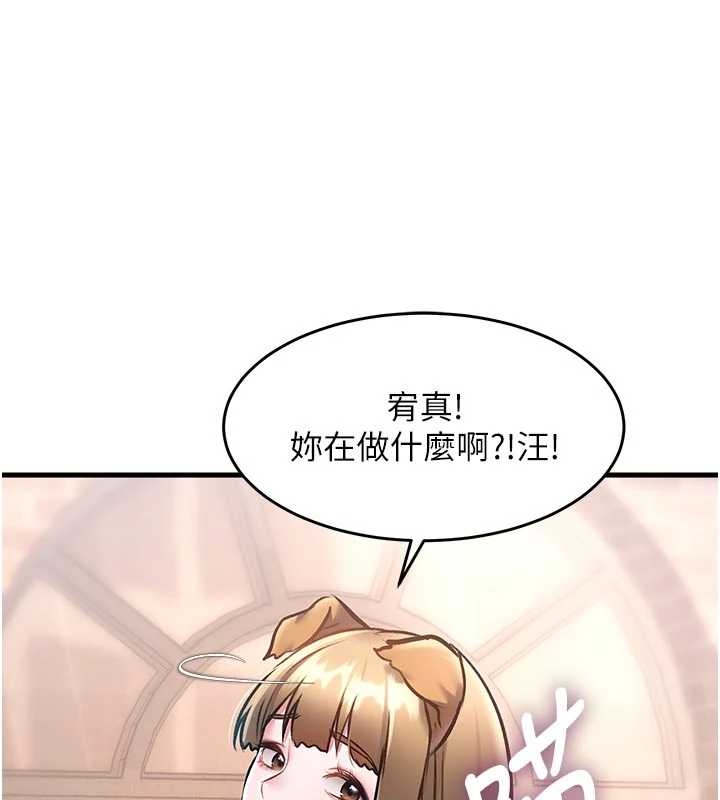 特色新視界第17話-馴服野貓守則