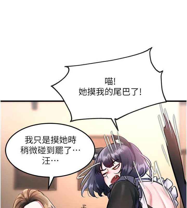 特色新視界第17話-馴服野貓守則