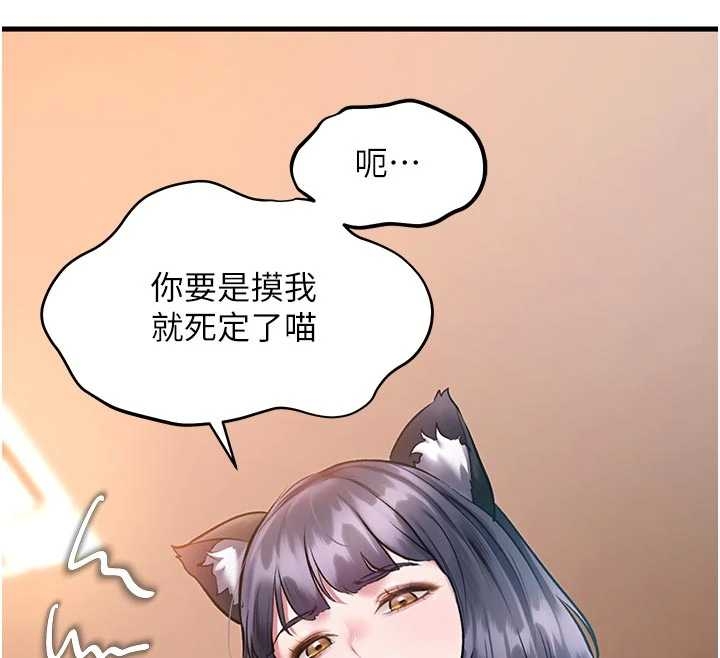 特色新視界第17話-馴服野貓守則