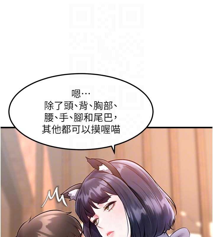 特色新視界第17話-馴服野貓守則