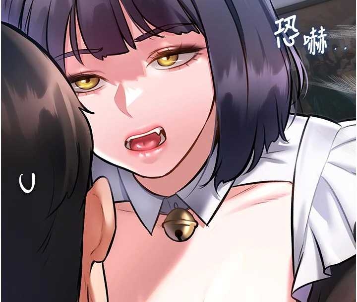 特色新視界第17話-馴服野貓守則