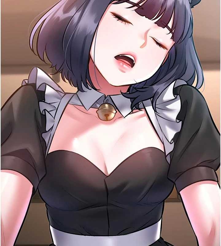 特色新視界第17話-馴服野貓守則