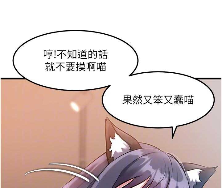 特色新視界第17話-馴服野貓守則