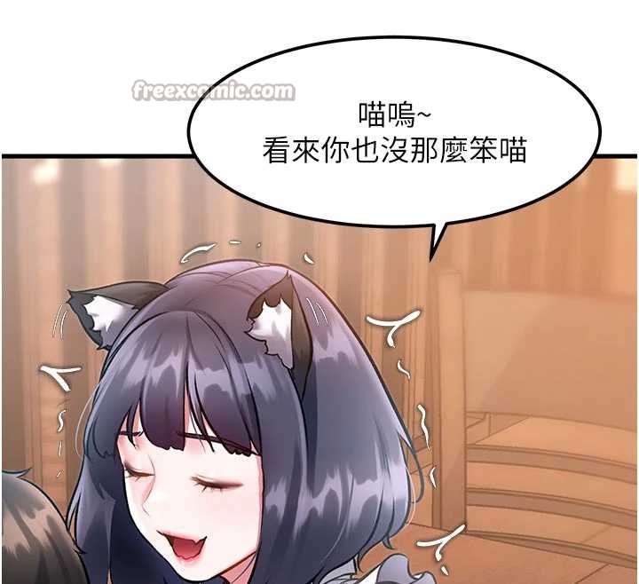 特色新視界第17話-馴服野貓守則