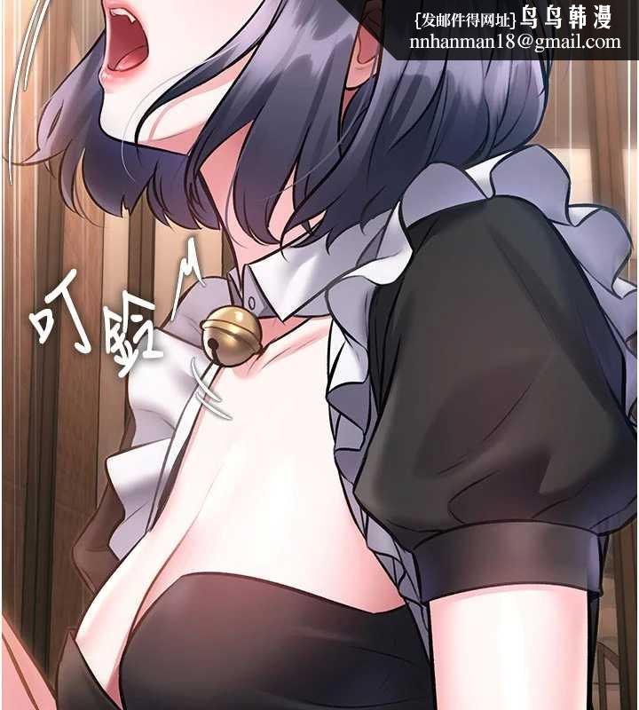 特色新視界第17話-馴服野貓守則