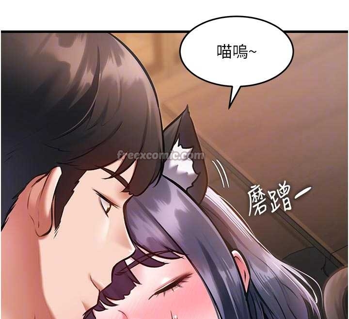 特色新視界第17話-馴服野貓守則