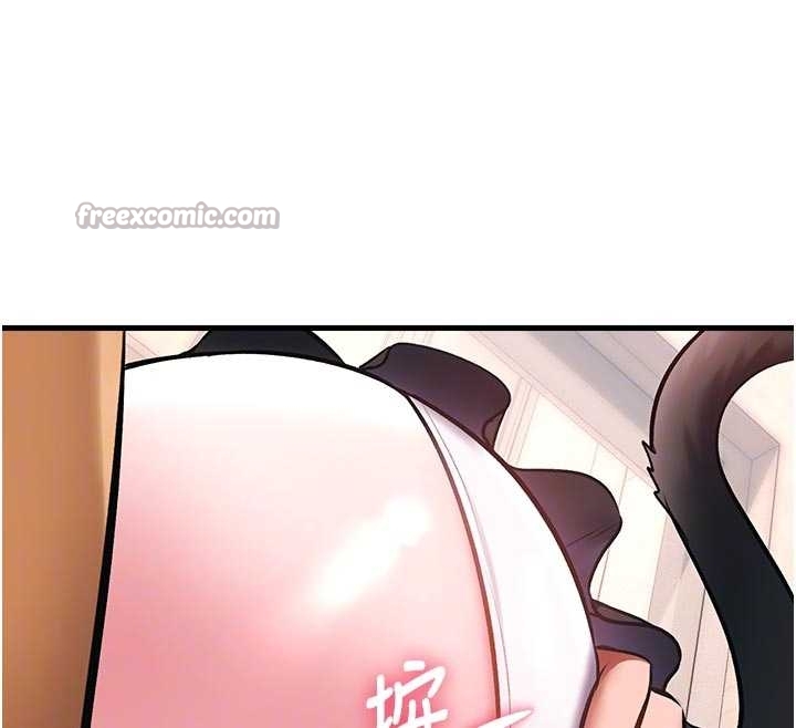 特色新視界第17話-馴服野貓守則